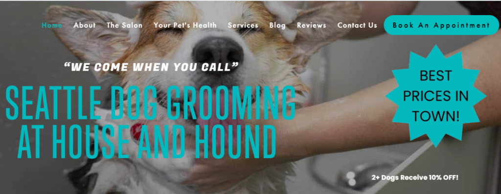 Pet Services