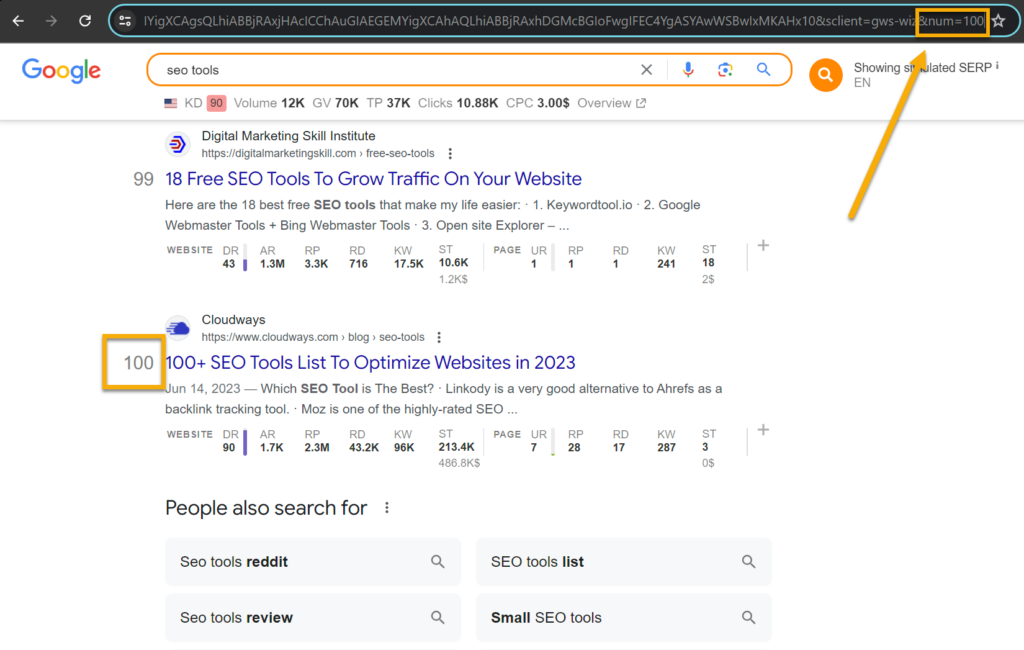 Google Search Parameter Disabled